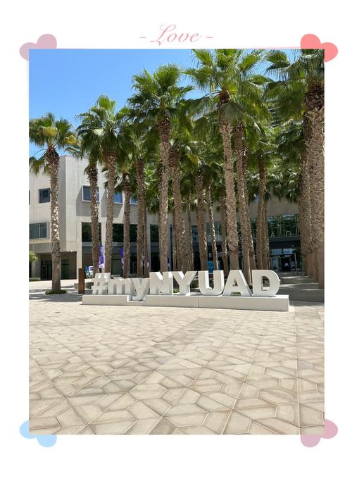 紐約大學阿布扎比分校_阿聯酋國立大學 UAE University_哈里法大學 Khalifa University