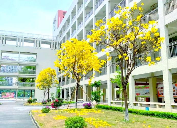 校園環境整潔學生維護_campus是什么意思_校園表情狀態師生互動