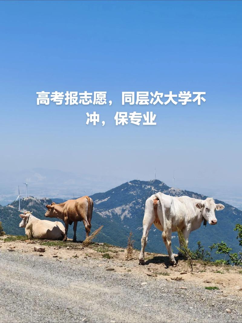 土木工程專業后悔_醫學專業就業困境_熱門專業