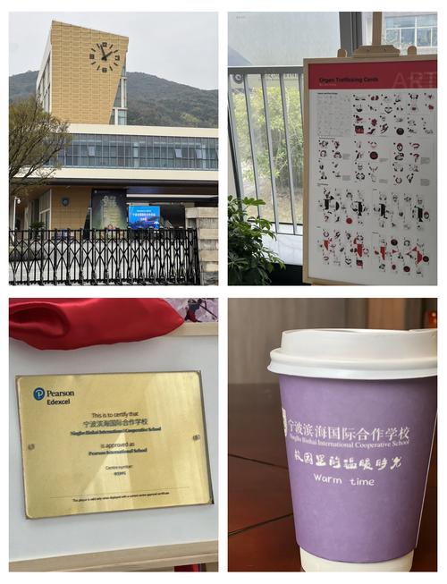 寧波濱海國際合作學校_寧波濱海國際合作學校 加拿大皮爾公立教育局 合作備忘錄