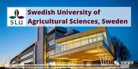 瑞典留學_瑞典大學教材費用_瑞典大學學費