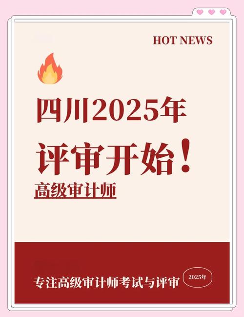 四川會計從業(yè)資格考試成績查詢_成都高級會計師評審流程_成都高級會計師申報條件