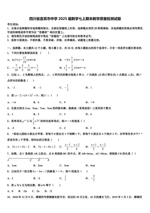 宜賓市2025年初中學業水平考試數學真題_2025宜賓中考數學試題及答案_宜賓市2025年初中學業水平考試數學答案