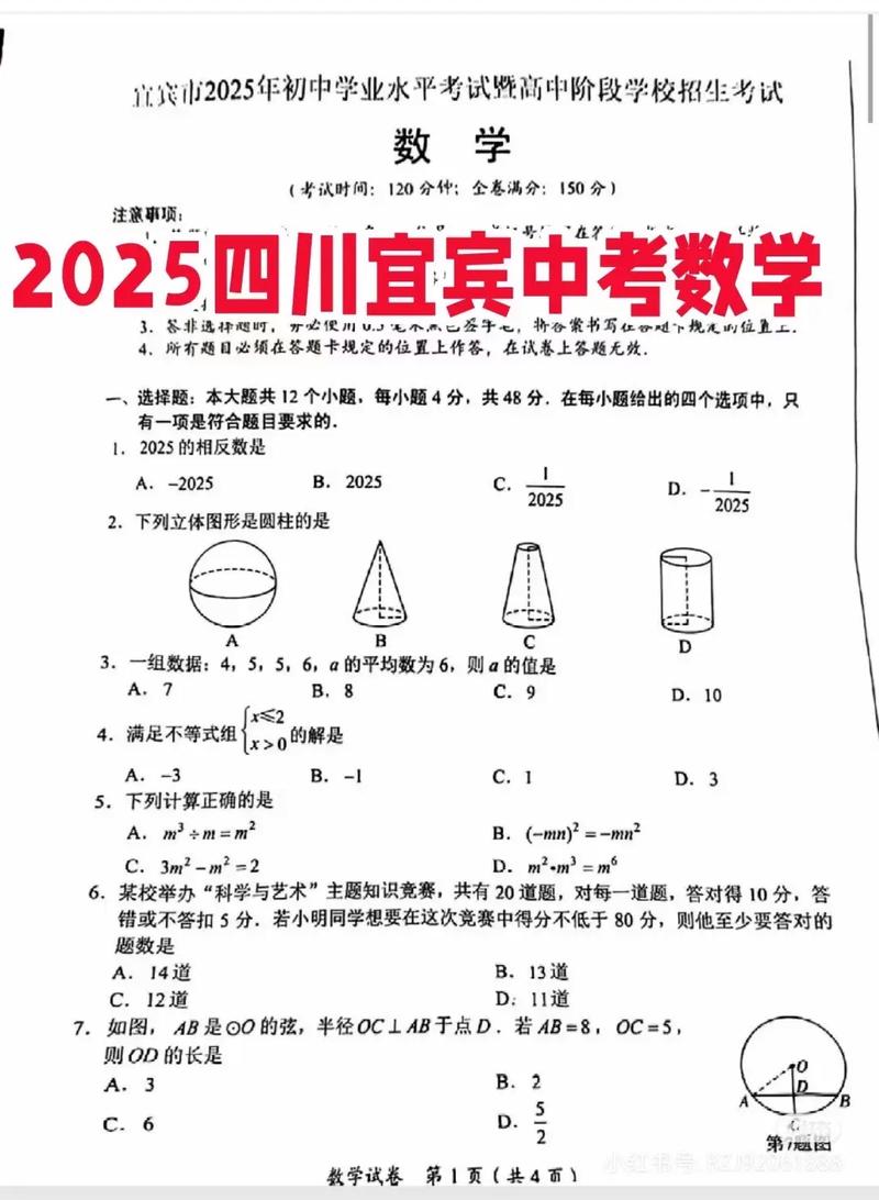 宜賓市2025年初中學業水平考試數學答案_2025宜賓中考數學試題及答案_宜賓市2025年初中學業水平考試數學真題