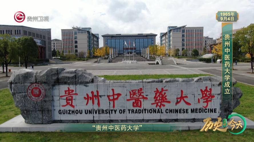 貴州中醫藥大學 岐黃學院 中醫藥人才培養_泰國大學