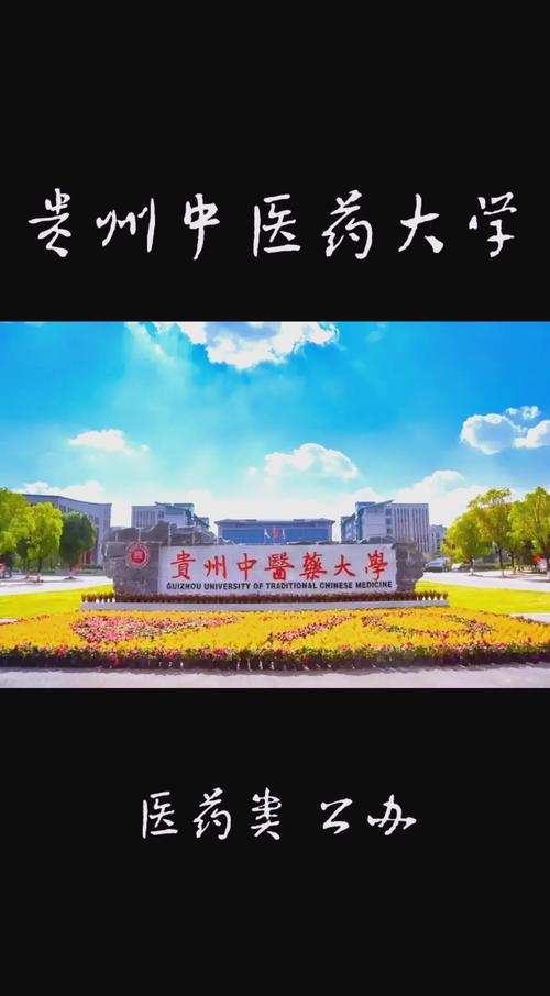 泰國大學_貴州中醫藥大學 岐黃學院 中醫藥人才培養