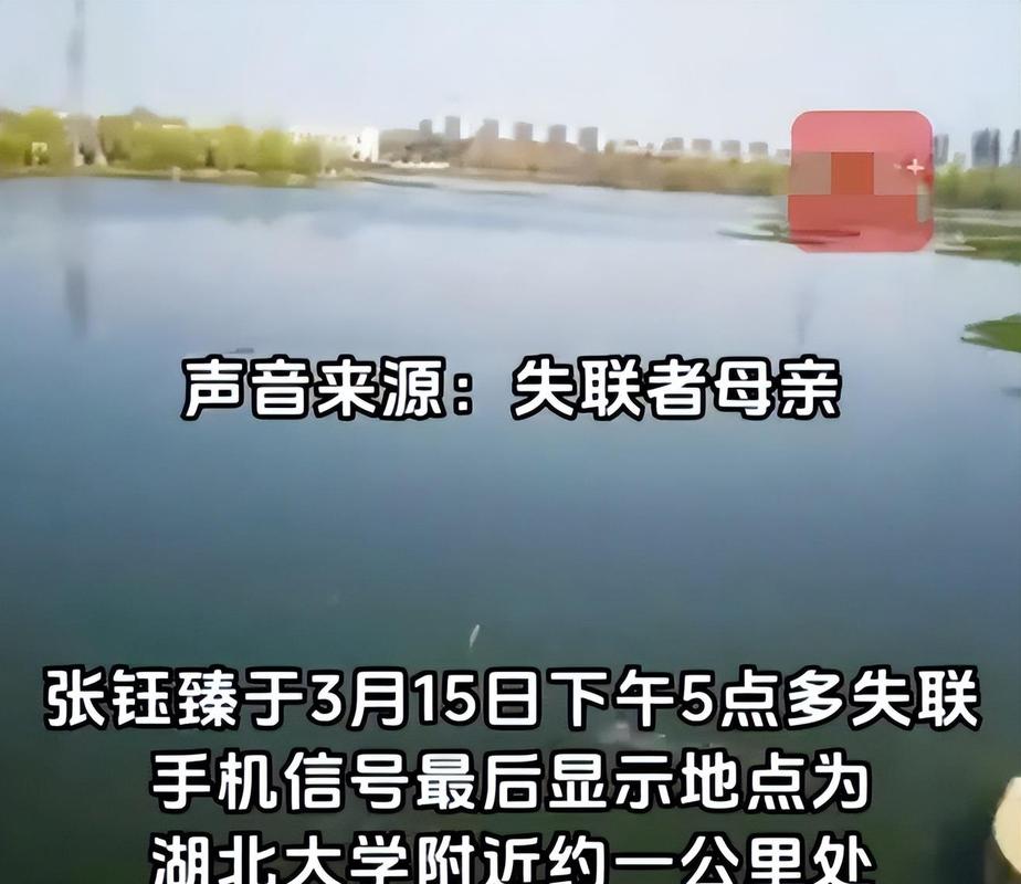 藤校學生心理壓力問題_普林斯頓大學圖書館_普林斯頓大學學生自殺事件