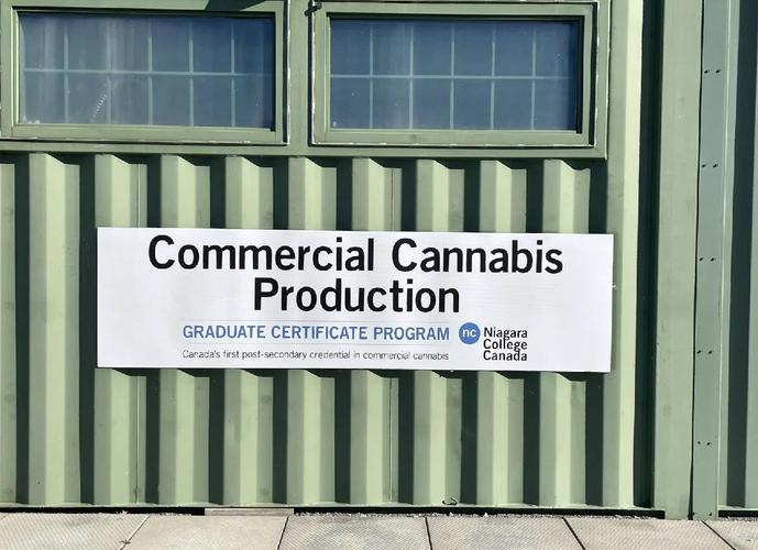 尼亞加拉學(xué)院_尼亞加拉學(xué)院旅游酒店管理專業(yè)_尼亞加拉學(xué)院專業(yè)設(shè)置