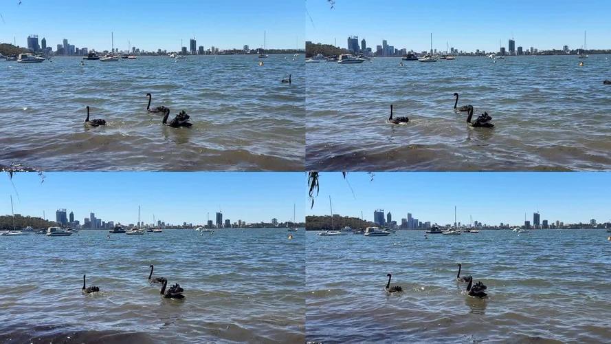 珀斯旅游攻略_珀斯旅游路線_澳大利亞珀斯