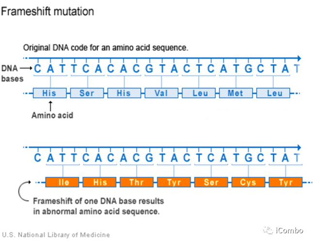 新冠病毒移碼機制_新研究發現冠狀病毒致命弱點_抑制移碼減少病毒復制