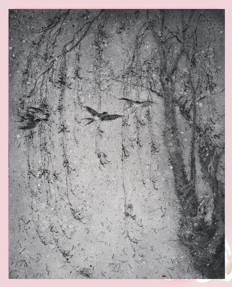 中國行為藝術(shù)發(fā)展史_行為藝術(shù)表演者_(dá)行為藝術(shù)與西方藝術(shù)傳統(tǒng)比較