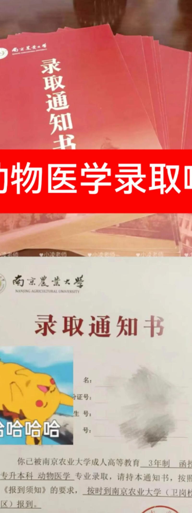 南京信紙印刷_南京農(nóng)業(yè)大學(xué)錄取通知書設(shè)計(jì)_南京工業(yè)大學(xué)120周年校慶錄取通知書特色