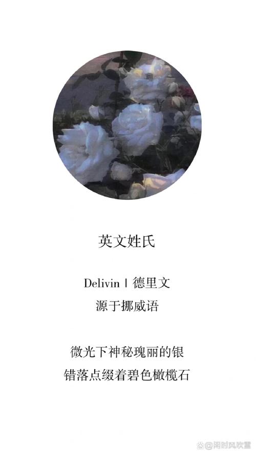 surname是什么意思_中考英語星標(biāo)_英語姓氏surnamed用法