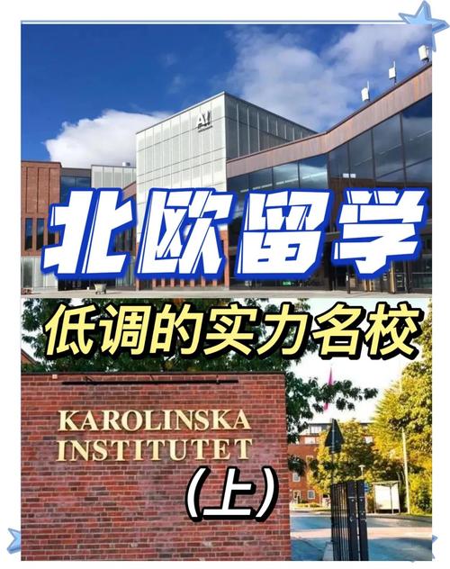 卑爾根大學英語授課碩士項目_卑爾根大學_挪威卑爾根大學獎學金