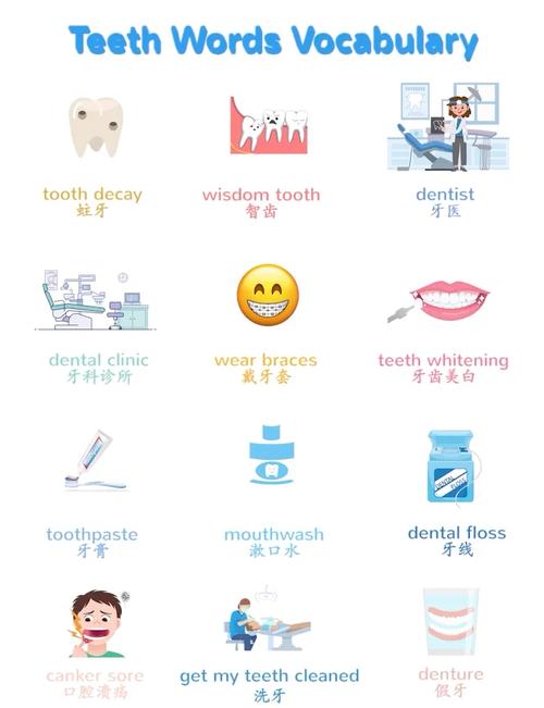 tooth復(fù)數(shù)形式teeth_tooth的英文釋義和用法_tooth是什么意思