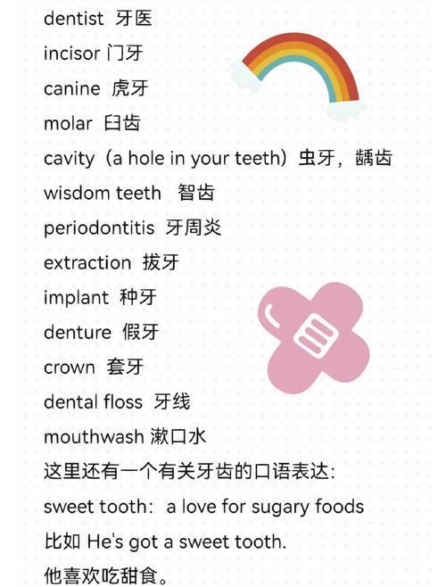 tooth是什么意思_tooth復(fù)數(shù)形式teeth_tooth的英文釋義和用法
