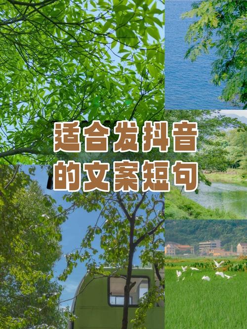 抖音最火的文案分享_抖音下雪超級火的文案_抖音熱門文案大全必火吸引人點贊關注的句子