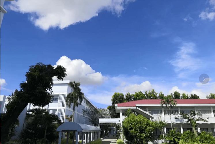 圣保羅大學畢業生就業率_菲律賓圣保羅大學_菲律賓圣保羅大學博士