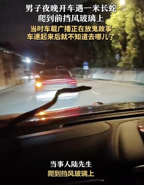 超短篇鬼故事_鄰居聞到血腥氣報警_凌晨聽鬼故事頻道
