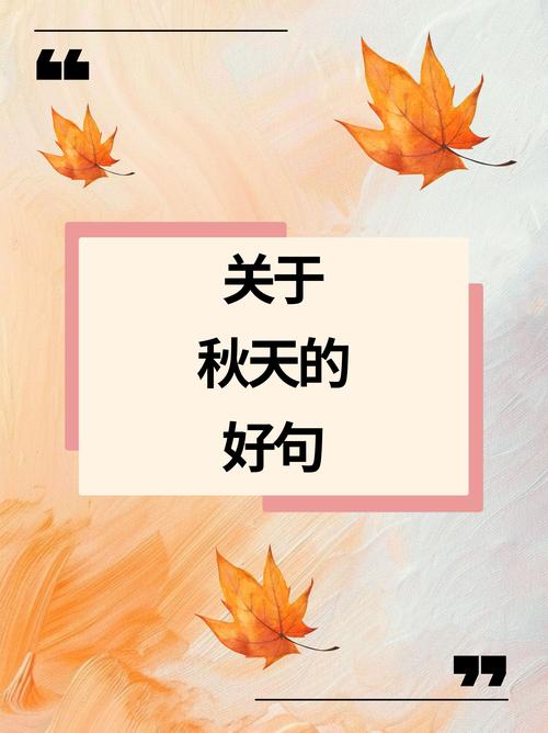 抒情文字_經(jīng)典抒情句子大全_經(jīng)典抒情句子大全分享