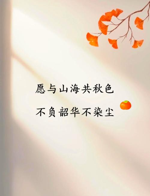 抒情文字_經(jīng)典抒情句子大全_經(jīng)典抒情句子大全分享