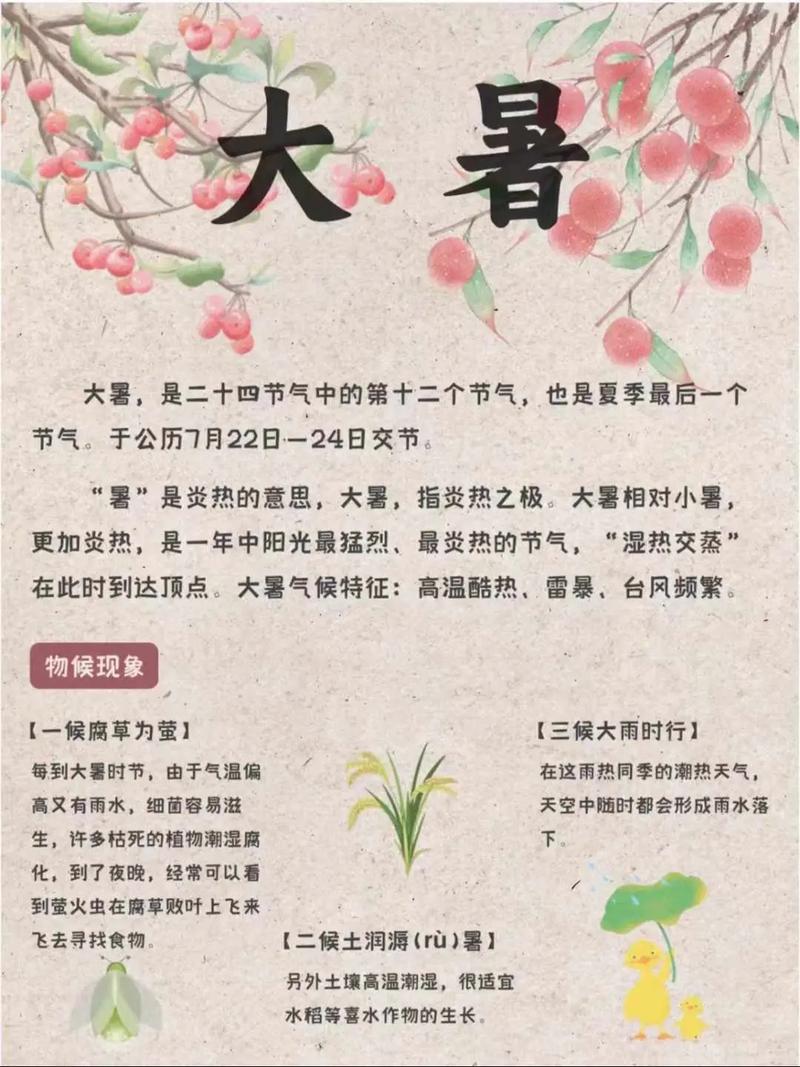 大暑節(jié)氣象征_大暑節(jié)氣的氣候特點_大暑是什么意思啊?