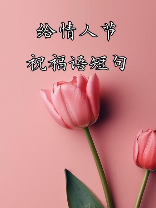 情人節浪漫話語_情人節情話_情人節不想一個人過
