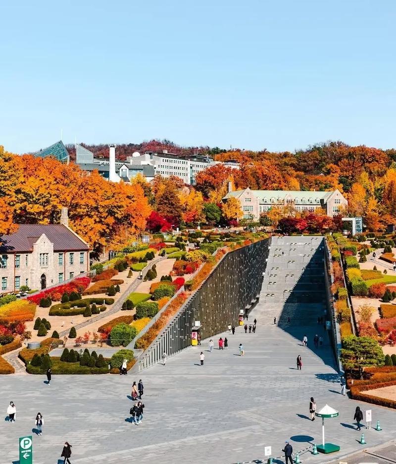 梨花女子大學官網(wǎng)_梨花女子大學優(yōu)勢專業(yè)申請條件_韓國梨花女子大學申請條件