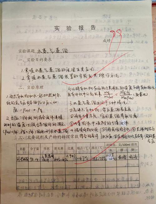 化學實驗與烹飪過程_描述性寫作與實驗報告_化學實驗報告模板