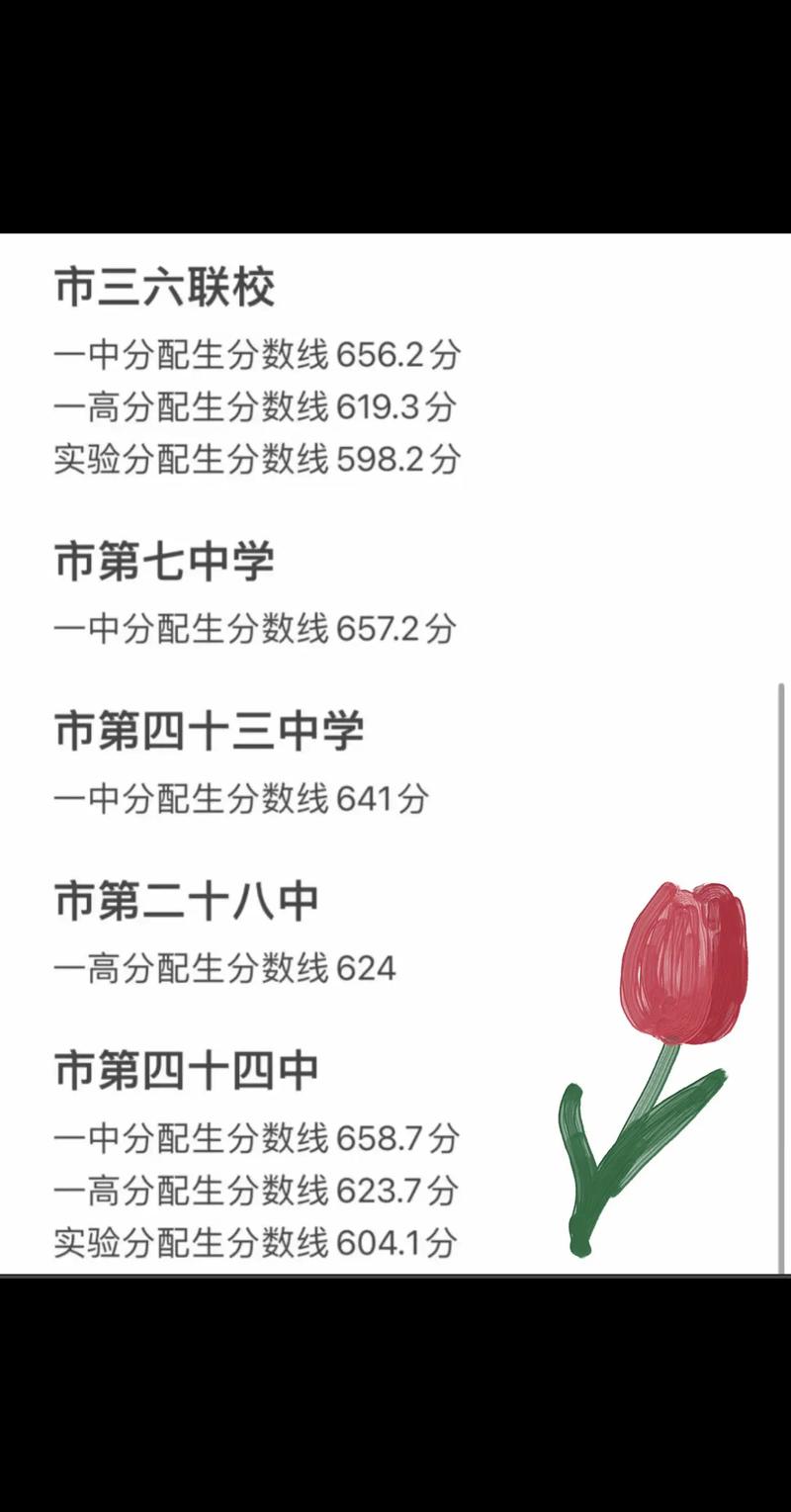 平頂山市第一高級中學錄取分數線_2025年中考錄取分數線是多少_2025年平頂山市直石龍區考區統招二批次正錄生錄取分數線